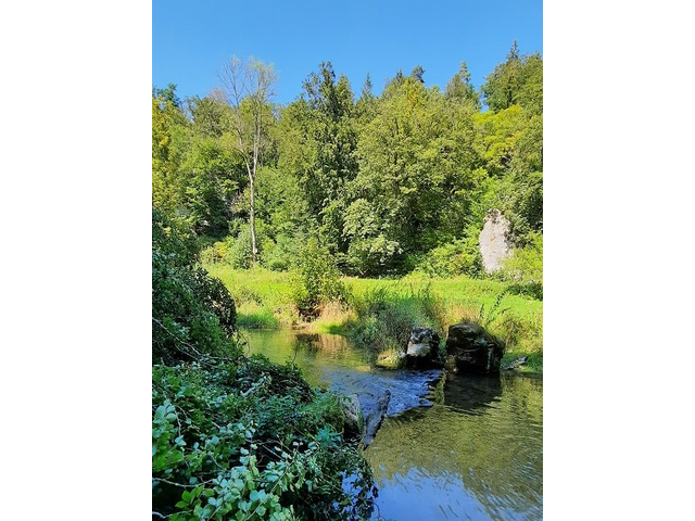 Im Frühling 2020 (7)